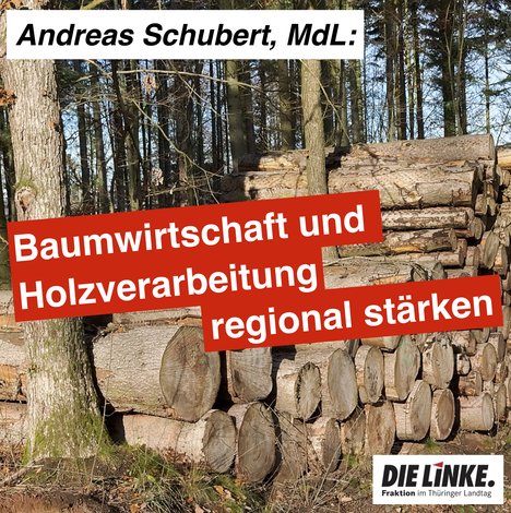 SharePic_-_Baumstamm.jpg